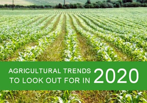4 Agricultural trends to look out for in 2020