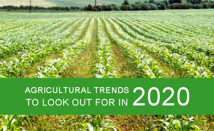 Agricultural trends in 2020
