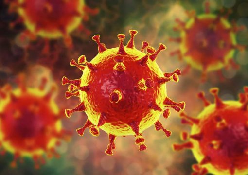 How will corona virus affect the agriculture sector in Kenya?