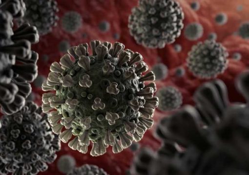 Kenya Veterinary Board releases a statement on the Corona Virus Pandemic