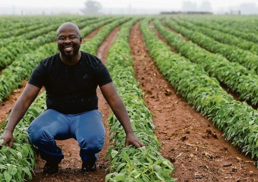 Agriculture is the future of youth employment