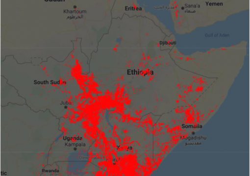 FAO and IGAD are joining forces against Rift Valley Fever